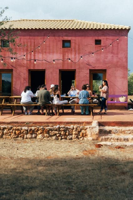 Olive Oil Tasting: Secrets From Ancient Olive Groves - The Allure of Ancient Olive Groves