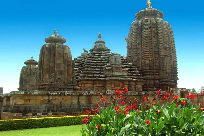 Om Leisure Full-Day Tour of Temple City Bhubaneswar in Odisha - Tour Overview