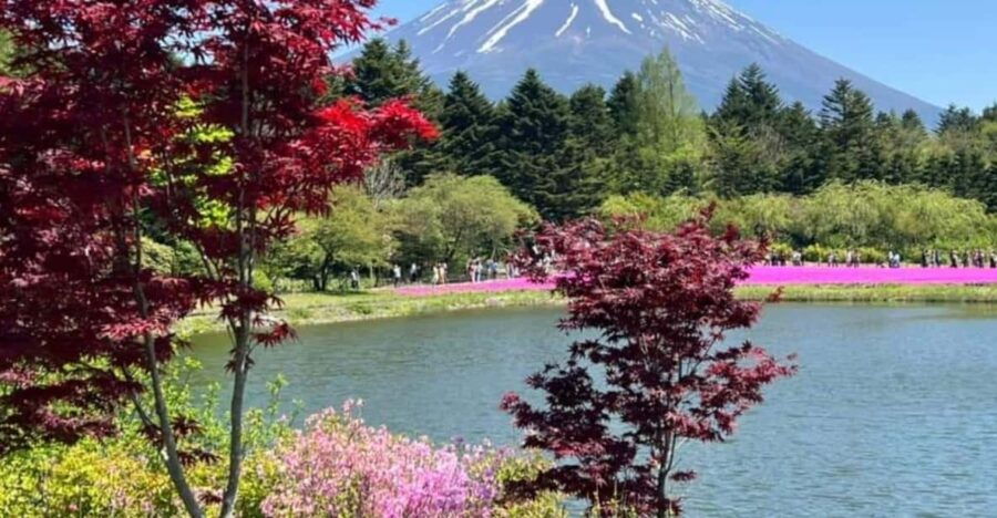 One Day Mount Fuji Private Tour With English Speaking Driver
