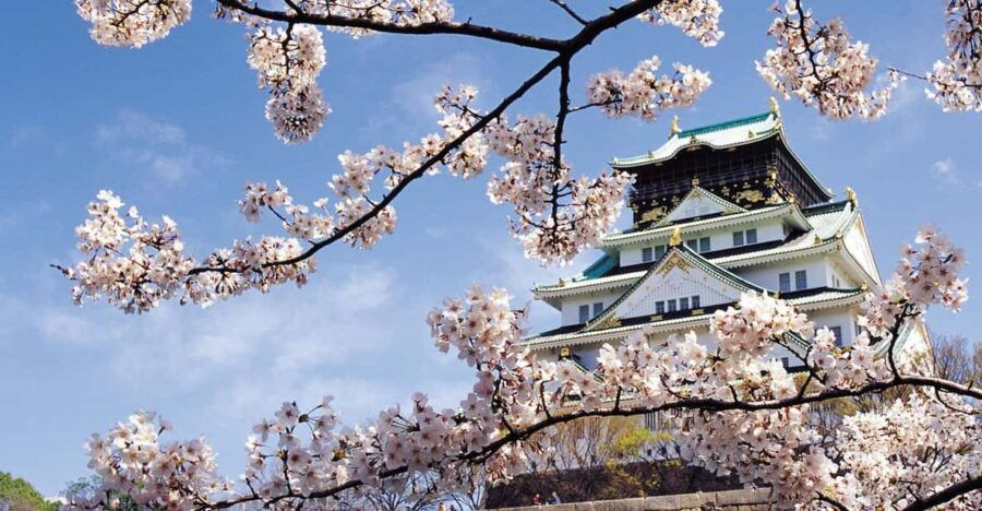One Day Private Customized Self-Guided Tour in Osaka - Tour Overview