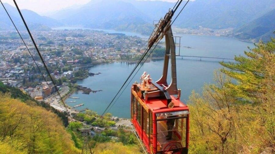 One Day Tour in Mount Fuji and Oishi Park With Fruit Picking