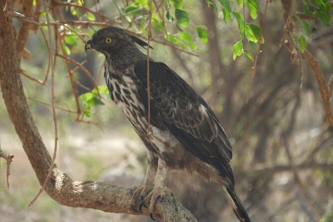One Night Camping in Wilpattu National Park. - Logistics and Meeting Information
