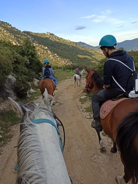 Orosei: Horse Riding on the Beach