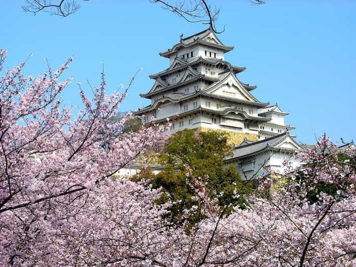 Osaka Castle Ticket With Private Transfer - Ticket Pricing Overview