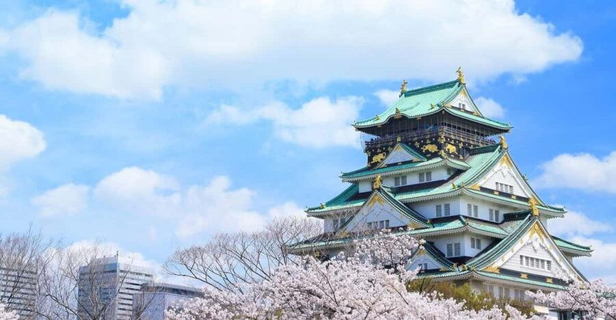 Osaka City English Private Tour Hotel Pickup Sightseeing - Tour Overview and Pricing