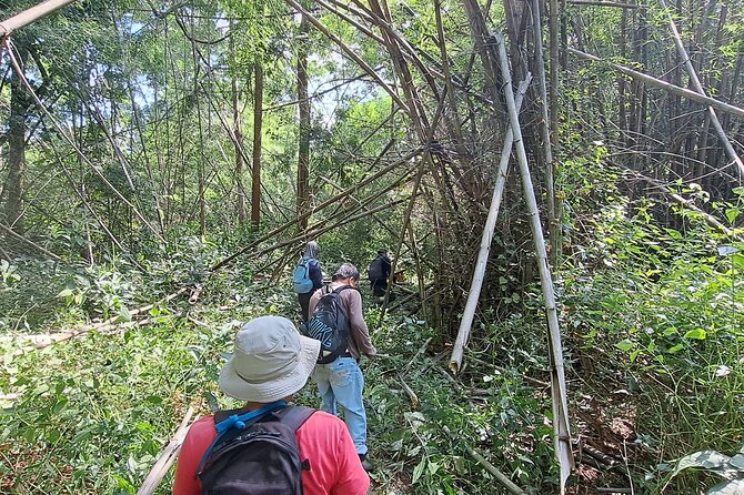 Overnight Mae Taeng Highlands Trek From Chiang Mai