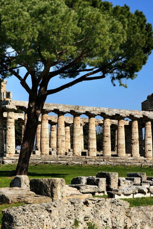 Paestum: Paragliding Over the Temples of the Ancient City