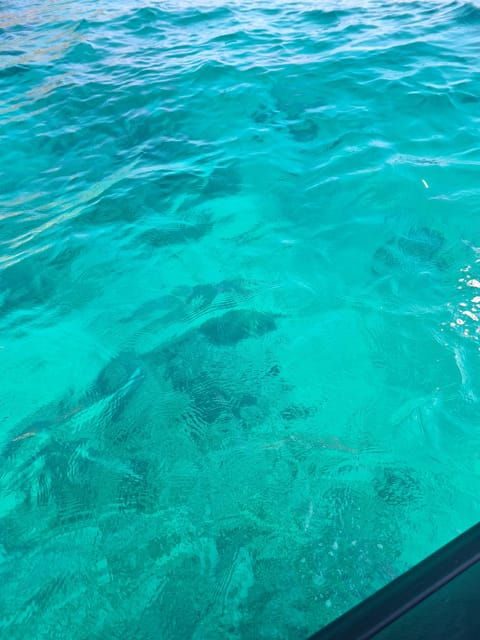 Palermo: HALF-DAY TOUR ON BOAT