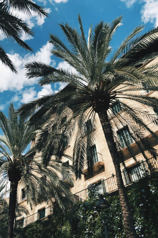 Palma: History & Beauty Eco-Friendly E-Scooter Tour - Tour Overview and Details