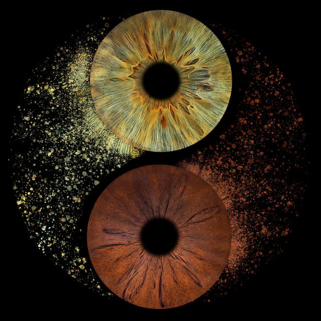 Paris: Professional Iris Photography With a Framed Print - Overview of Iris Photography