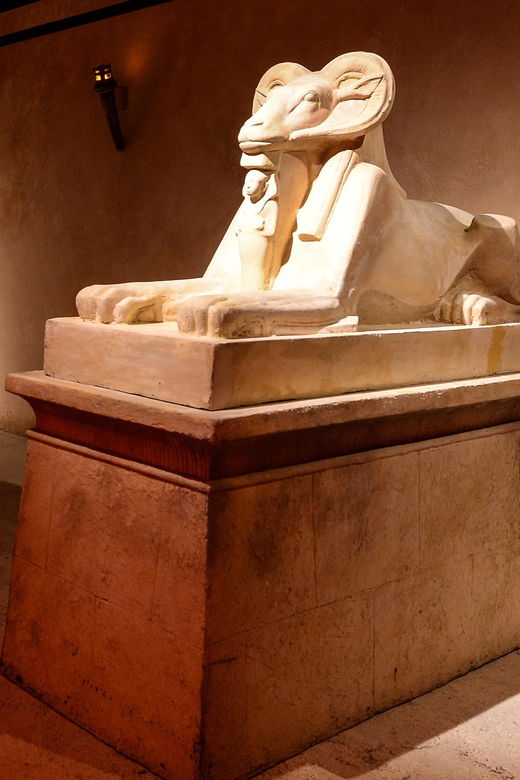 Paris: TUTANKHAMUN THE PHARAONIC IMMERSIVE EXPERIENCE - Experience Overview