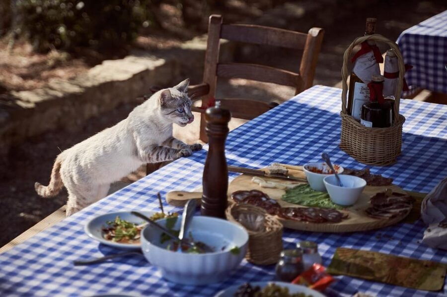 Paros: Rosemary – Farm to Table Dining Experience