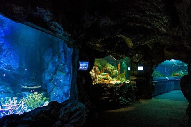 PATTAYA: Join Tour Under Water World Pattaya