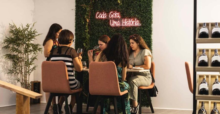Penafiel Tour:Vinho Verde Winery + Historical Center + Lunch