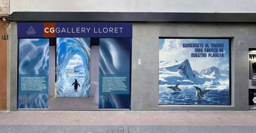 Penguins World Interactive Photo Exhibition