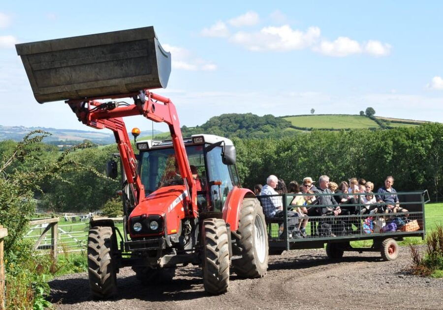 Pennywell Farm: Devons Award Winning Farm – Voted No. 1