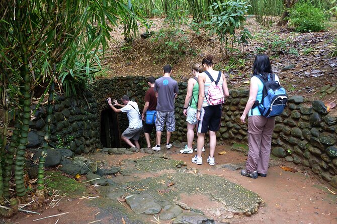 Phong Nha to Hoi an by Private Car With Professional Driver