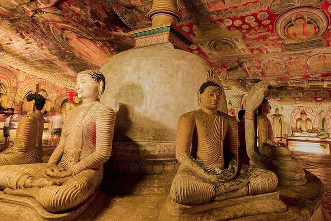 Photography Tour in Sri Lanka (7 Days) - Tour Highlights