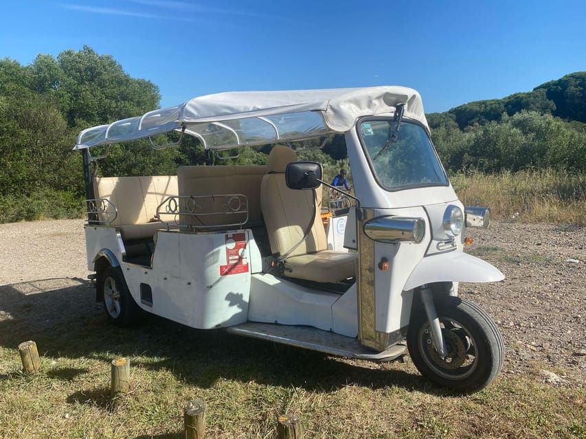 Picnic in Lisbon With Local Sommelier - Experience Overview