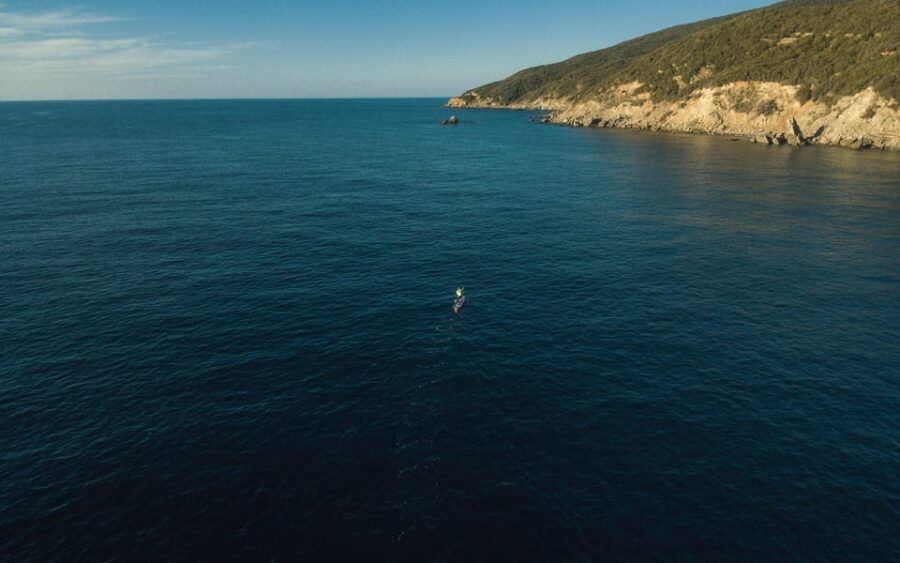 Piombino (Tuscany): Stand Up Paddle Experience - Overview of the Experience