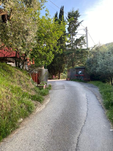 PISTOIA: TUSCAN COOKING CLASS IN A FARM + LUNCH