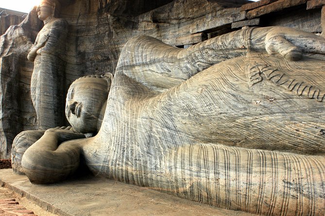 Polonnaruwa Ancient City and Wildlife Safari From Colombo - Tour Inclusions