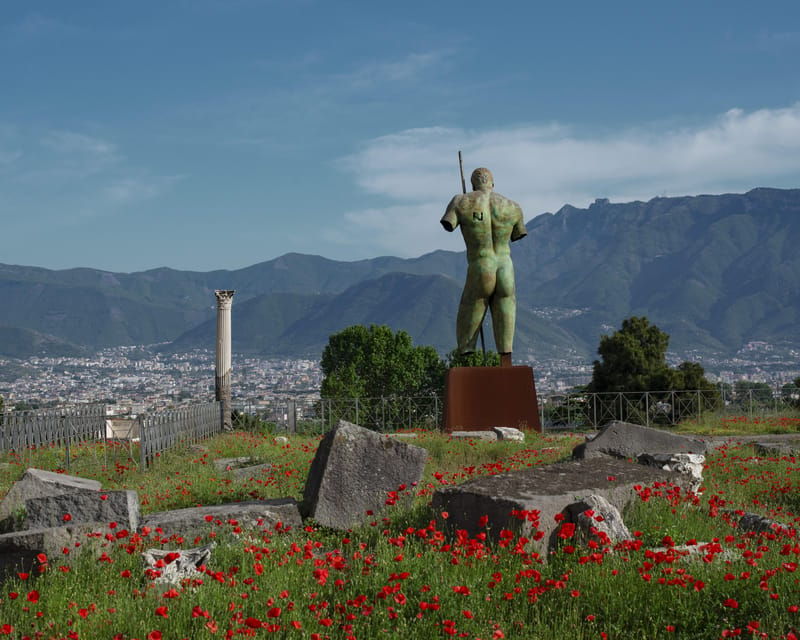 Pompeii & Herculaneum: Skip-the-line & App Audio Guide