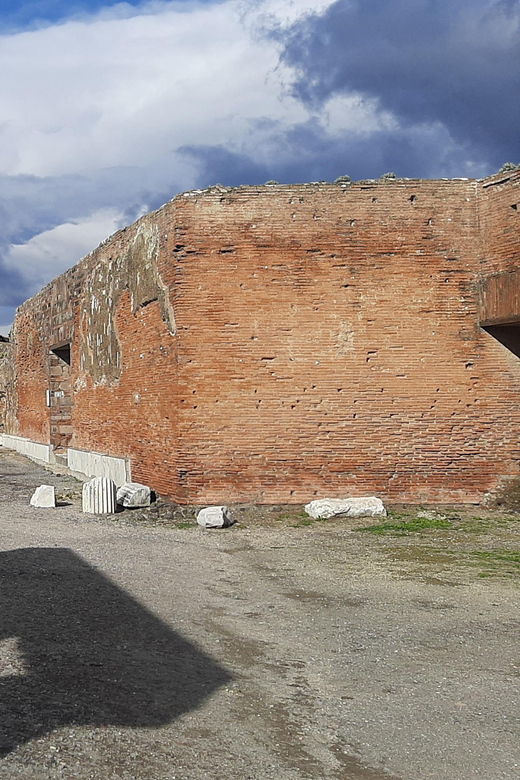 Pompeii: Private Tour With Wine Tasting on Vesuvius