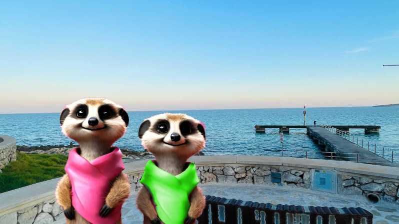Port De Sóller: the Magical Creatures of Sóller, Family Game