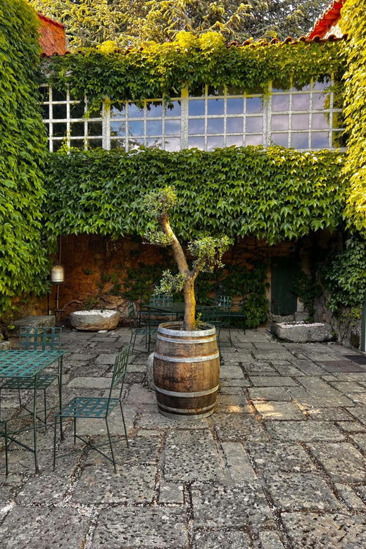 Porto: Douro Valley 2 Estates + Wine Tasting
