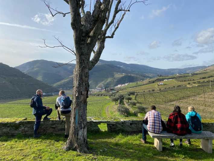 Porto: Douro Valley Hike, Winery Visit and Tasting - Activity Overview
