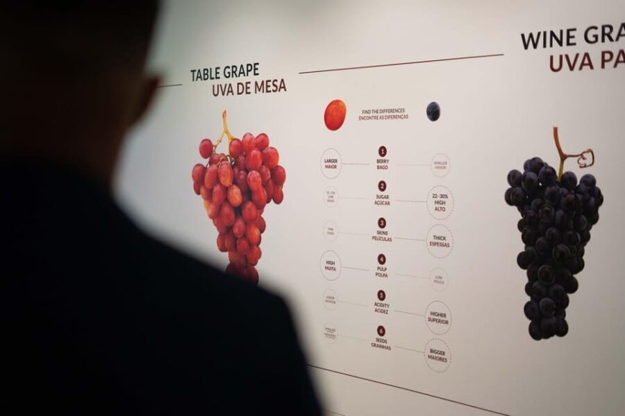 Porto: Taylor’s Port Wine Cellar Tour & The Wine Experience