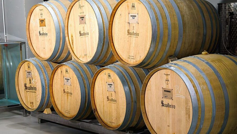 Porto: Vinho Verde Experience With 2 Wineries & Lunch - Experience Overview