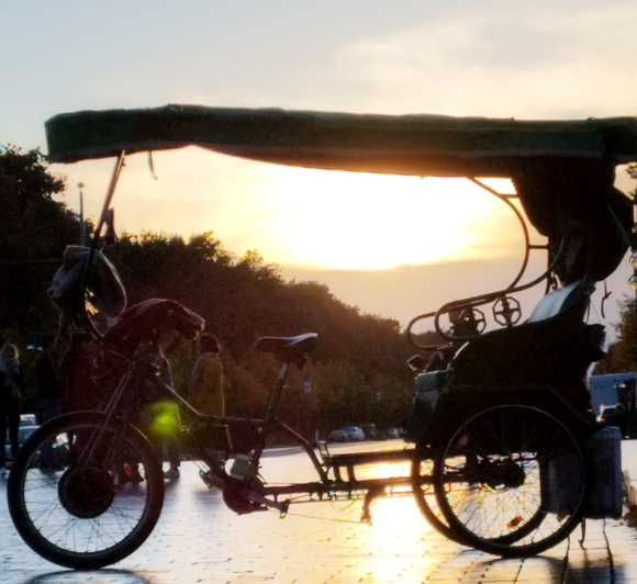 Private Berlin by Night Tour by Rickshaw 3 Hours - Tour Overview