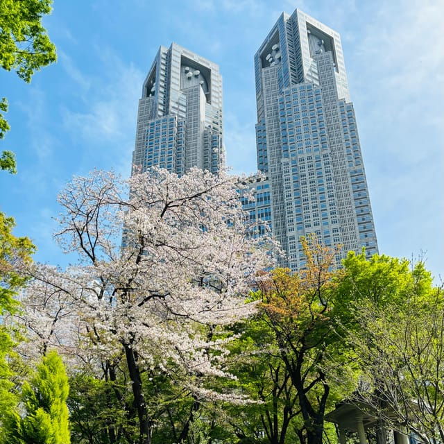 Private Car Tour With Meiji Shrine, Skytree, and Odaiba