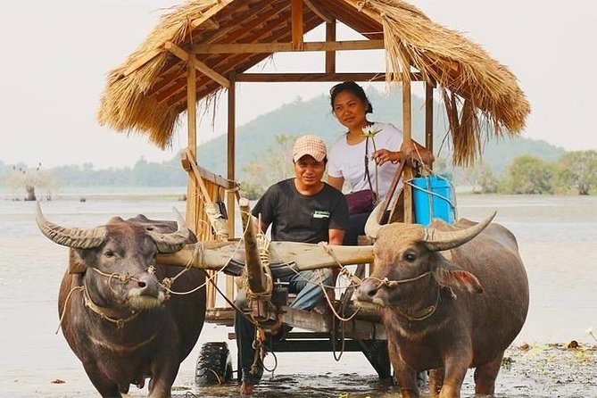 Private Countryside With Buffalo Cart Tour – Half Day