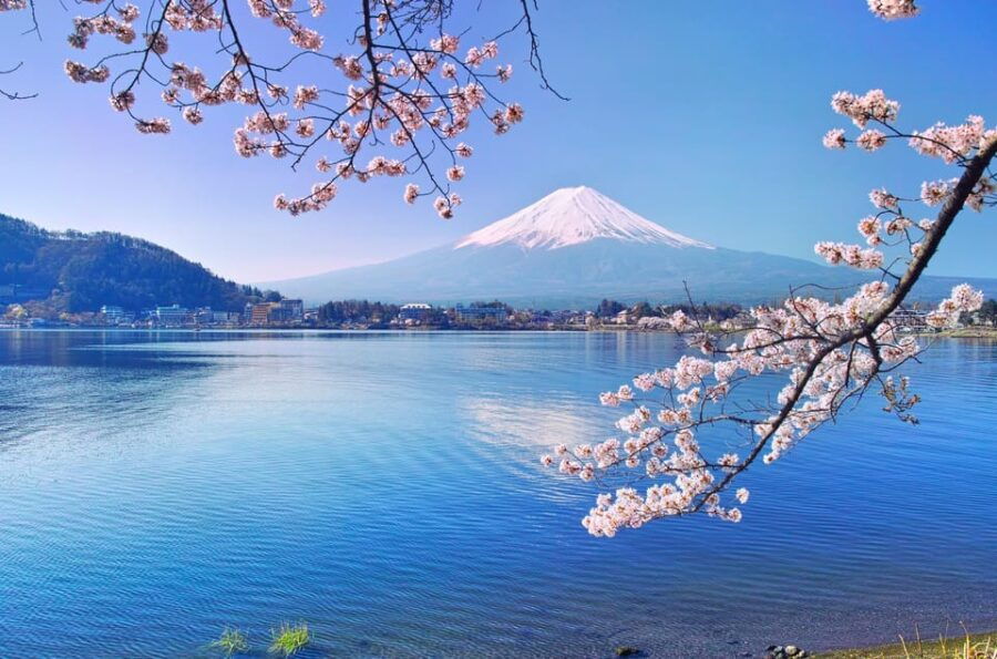 Private Customized Tour in Mount Fuji