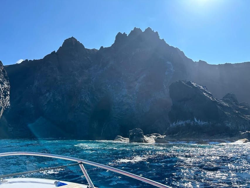 Private Day Seafari in the Azores Follow Marine Biologist - Activity Overview