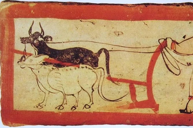 Private Day Tour: Jiayuguan Pass, Overhanging Great Wall, Wei and Jin Tomb - Booking Instructions