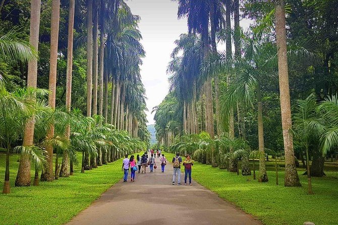 Private Day Tour Of Kandy From Galle and Bentota