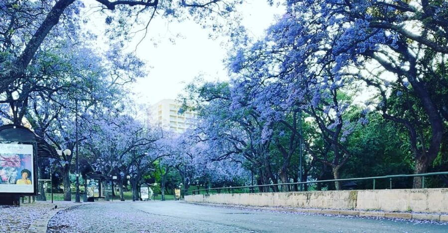 Private Day Tour With Airport Transfer Available - Tour Overview and Pricing