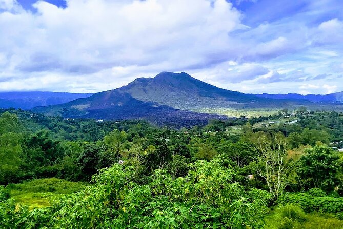 Private Full Day Tour Batur Volcano and Ubud Tour - Tour Highlights