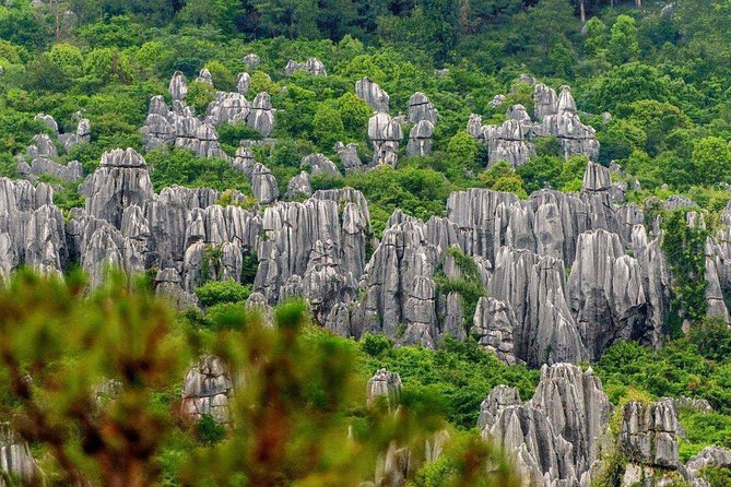 Private Full-Day Tour From Kunming: Stone Forest and Golden Temple - Tour Highlights