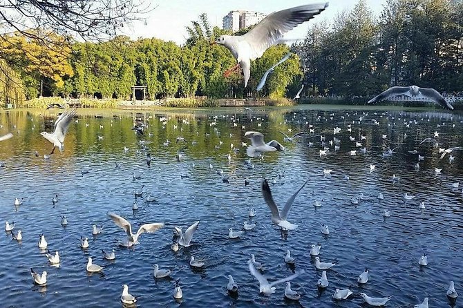 Private Kunming Night Tour With Dynamic Yunnan Show - Tour Inclusions
