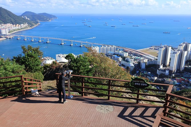 PRIVATE MORNING HIKING TO SEE THE SPECTACULAR BUSAN CITY VIEW (326m / 1,070ft) - Inclusions and Services