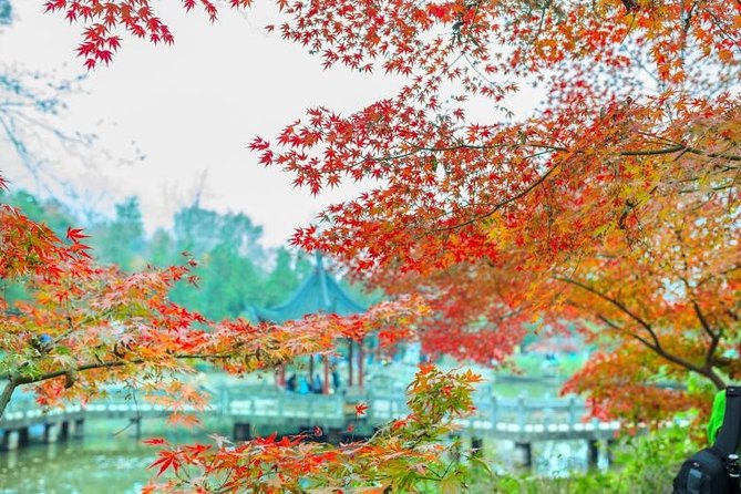 Private Nanjing Layover Tour to Qixia Mountain - Transportation Details