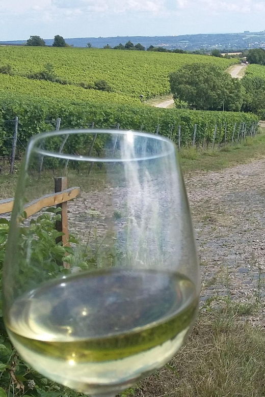 Private Rhine Valley Tour With River Cruise & Wine Tasting - Tour Overview and Pricing