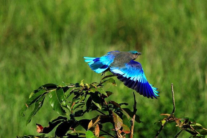 Private Taj Mahal and Bird Watching Tours 2 Night 3 Days