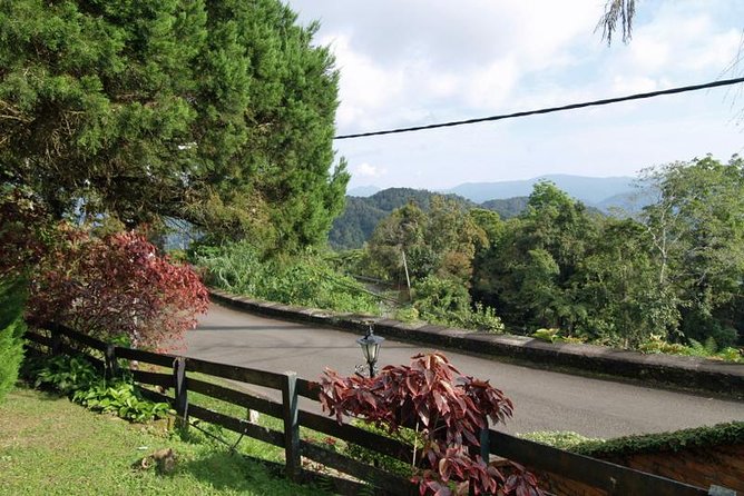 Private Tour: Frasers Hill Bird-Watching Nature Tour From Kuala Lumpur