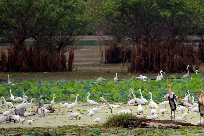 Private Tour in Kumana National Park Safari From Arugambay - Pickup Points and Start Time